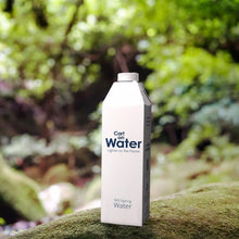 Load image into Gallery viewer, Carton Water British spring water 1 L x 24 outdoors