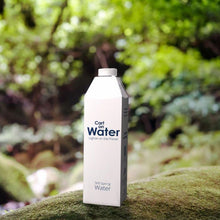 Load image into Gallery viewer, Carton water British Spring water 1 L x 12 outdoors